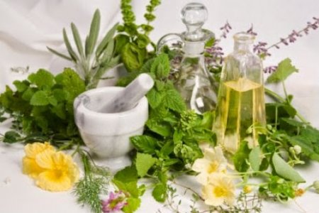 MEDICINA HOMEOPÁTICA