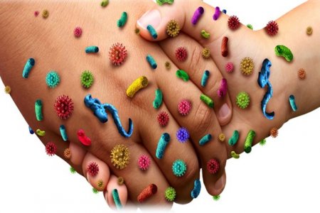 DIAGNÓSTICO MOLECULAR DE ENFERMEDADES INFECCIOSAS
