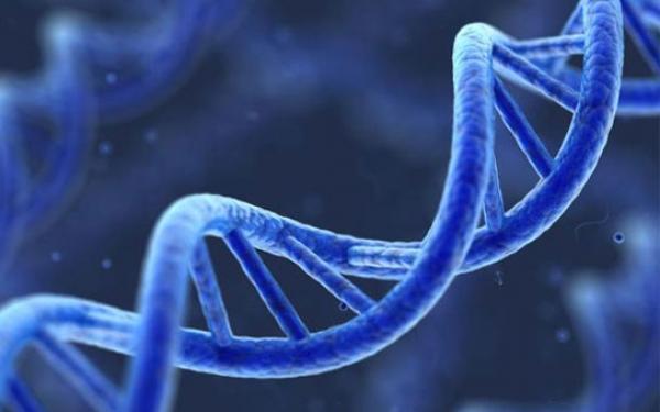 Genetics Tests