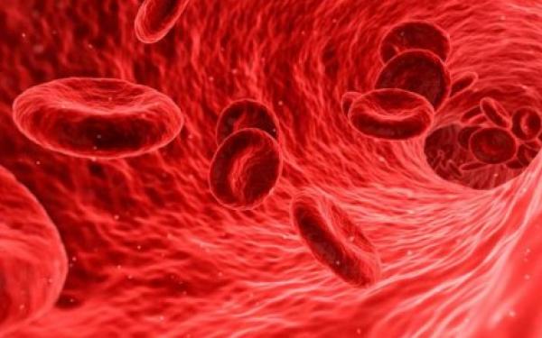 HEMATOLOGIAS