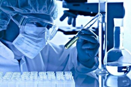 TOXICOLOGIA