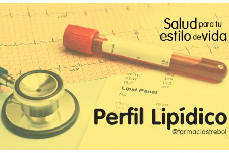 PERFIL LIPIDICO 