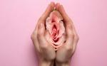 Plastias Vaginales