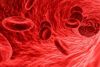 HEMATOLOGIA