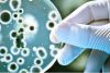 MICROBIOLOGIA