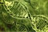 MICROBIOLOGIA