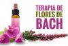 TERAPIA DE FLORES DE BACH