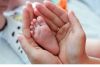PAQUETE DE PESQUISA NEONATAL 