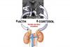 ACTH-CORTISOL